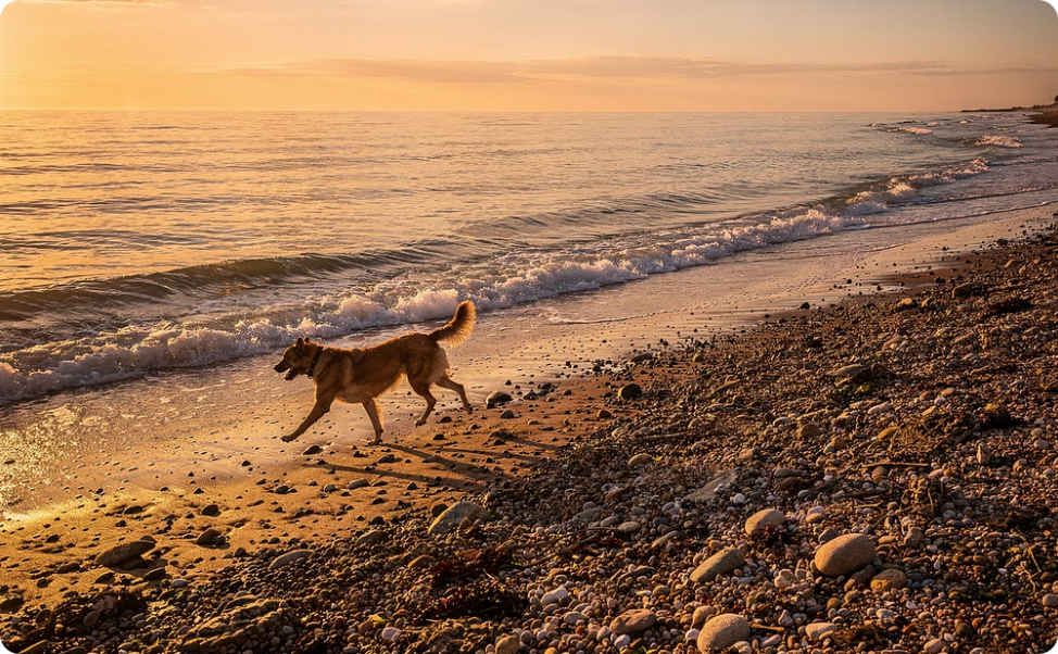 Rustington Sussex coast